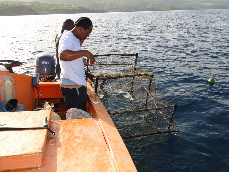Pulling a fish-pot to the surface to check the catch off Batalie Beach, Dominica - photo by GGerman