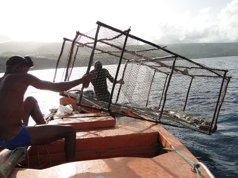 Lugging the fish-pot onboard... off Batalie Beach, Dominica - photo by GGerman