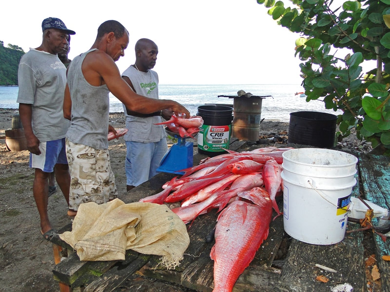 Selling queen snapper on Batalie Beach, Dominica. Photo by GGerman